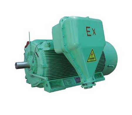 10kv高壓防爆電機(jī)型號YBX3-6303-2